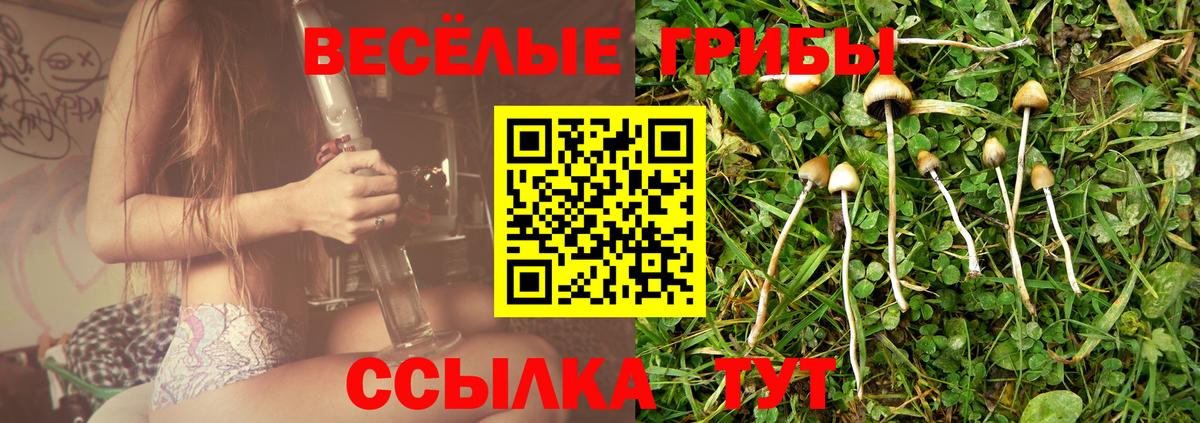 Галлюциногенные грибы Magic Shrooms  Вход с VPN  Кудымкар  Псилоцибиновые грибы Magic Shrooms 
